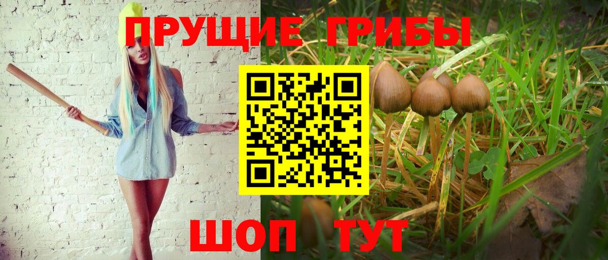 Псилоцибиновые грибы Cubensis Киреевск